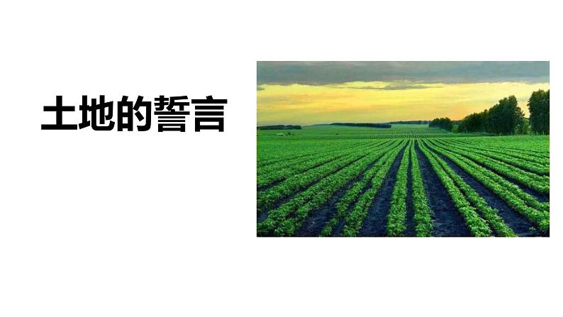 部编版七年级语文下册《土地的誓言》PPT (1)01