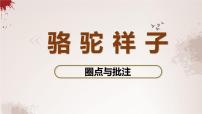 初中语文人教部编版七年级下册名著导读《骆驼祥子》：圈点与批注课文内容ppt课件