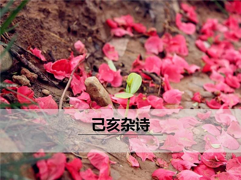 部编版七年级语文下册《己亥杂诗》PPT教学课件 (3)01