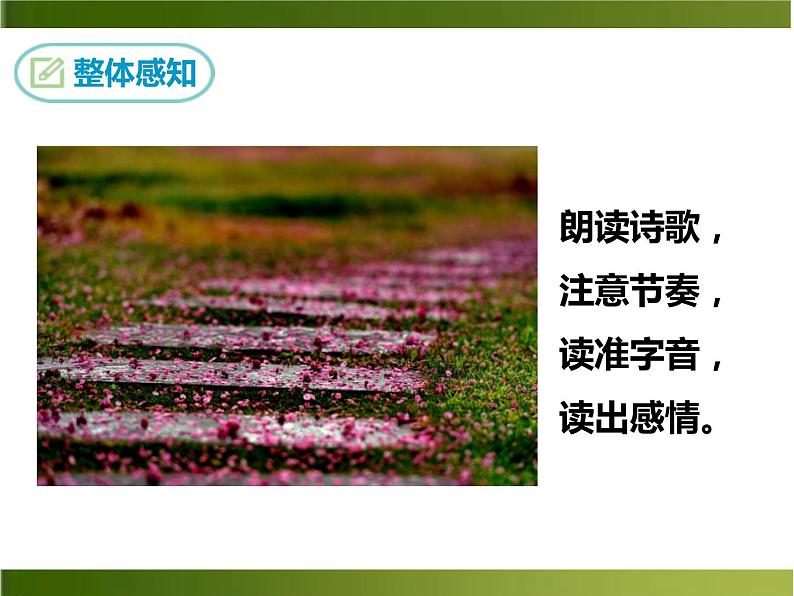 部编版七年级语文下册《己亥杂诗》PPT教学课件 (3)05
