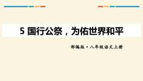 人教部编版八年级上册5 国行公祭，为佑世界和平示范课课件ppt