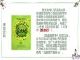 部编版八年级语文上册《蝉》PPT优秀课件 (3)