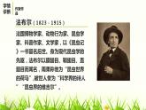 部编版八年级语文上册《蝉》PPT优秀课件 (4)