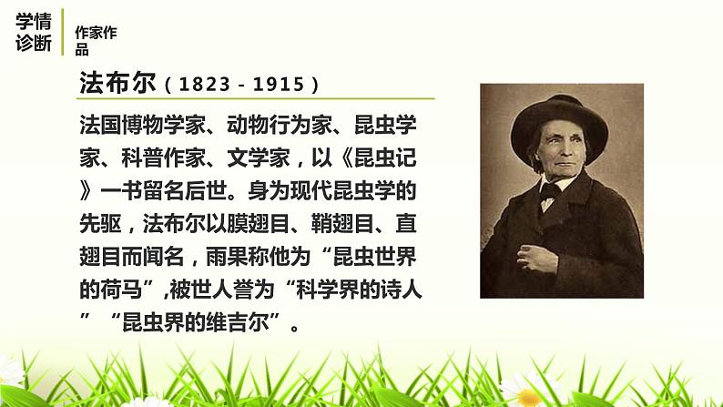 部编版八年级语文上册《蝉》PPT优秀课件 (4)第4页