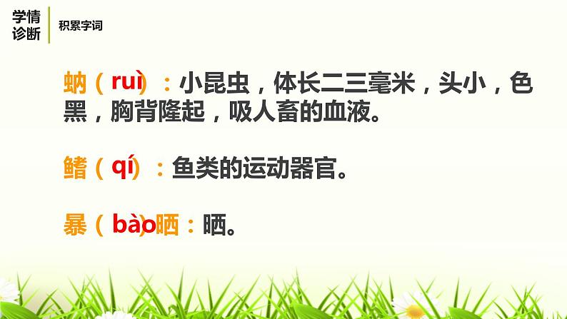 部编版八年级语文上册《蝉》PPT优秀课件 (4)第6页