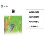 部编版八年级语文上册《蝉》PPT优秀课件 (6)