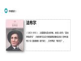 部编版八年级语文上册《蝉》PPT优秀课件 (6)