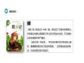部编版八年级语文上册《蝉》PPT优秀课件 (6)