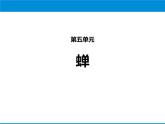 部编版八年级语文上册《蝉》PPT优秀课件 (1)