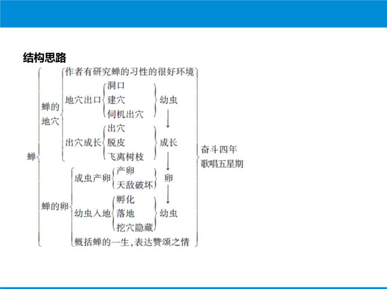 初中语文人教部编版八年级上册19* 蝉教学演示课件ppt