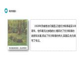 部编版八年级语文上册《列夫·托尔斯泰》PPT优秀课件 (1)