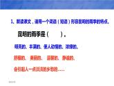 部编版八年级语文上册《昆明的雨》PPT优质课件 (1)