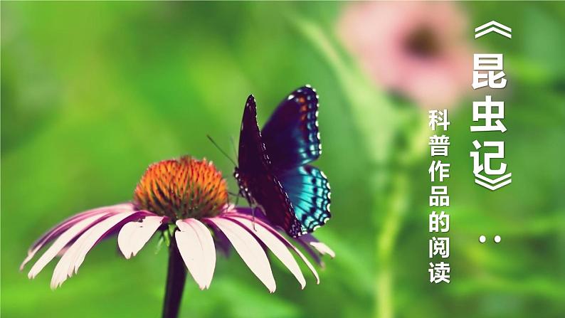 部编版八年级语文上册《昆虫记-》PPT (2)第1页