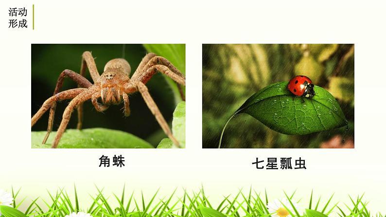 部编版八年级语文上册《昆虫记-》PPT (2)第4页