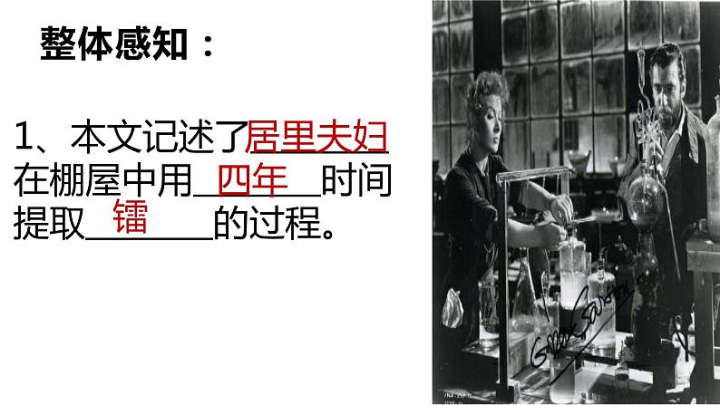 部编版八年级语文上册《美丽的颜色》PPT课文课件 (4)第8页