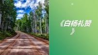 初中语文人教部编版八年级上册14 白杨礼赞图片课件ppt
