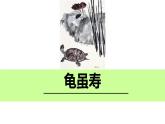 部编版语文九年级上册诗词诵读《龟虽寿》 (1) 课件