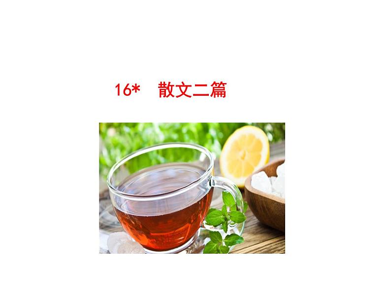 部编本八年级上语文第16课散文二篇《永久的生命》《我为什么而活着》ppt课件（37页）02