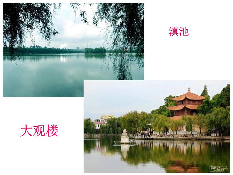 部编本八年级上语文第17课《昆明的雨》(共55张PPT)04