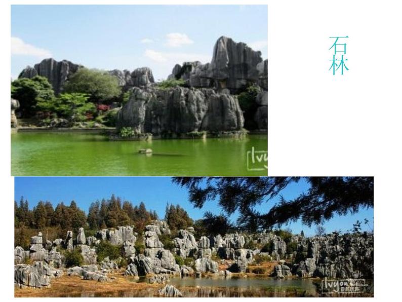 部编本八年级上语文第17课《昆明的雨》(共55张PPT)05