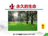 部编版八年级语文上册《永久的生命》PPT (4)