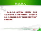部编版八年级语文上册《永久的生命》PPT (4)