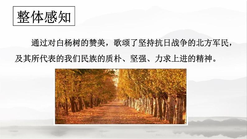 部编版语文八年级上册第1课《白杨礼赞》课件 (7)第6页