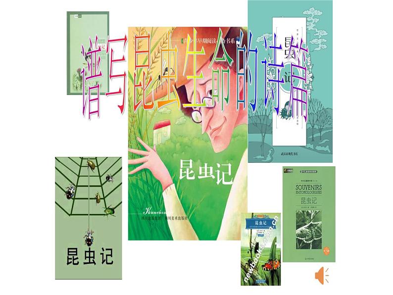 部编本八年级上语文名著导读之《昆虫记》(共62张PPT）08