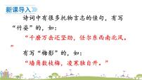 人教部编版八年级上册14 白杨礼赞课前预习课件ppt