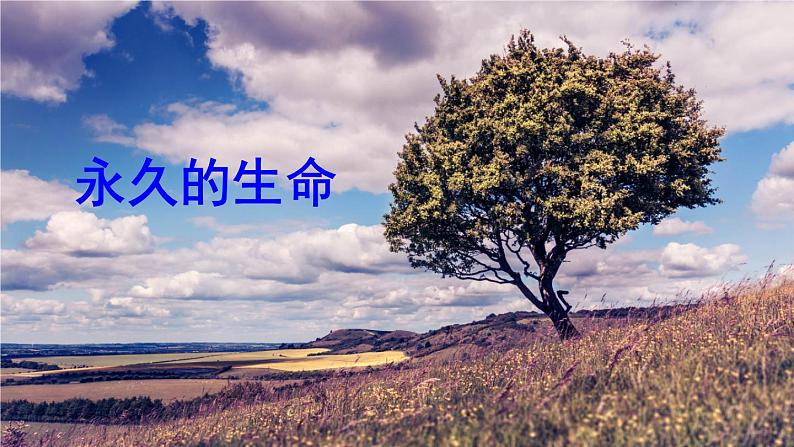 部编版八年级语文上册 16 《散文二篇》PPT课件04