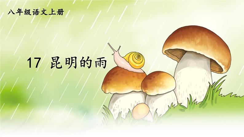 部编版八年级语文上册 17 《昆明的雨》PPT课件07