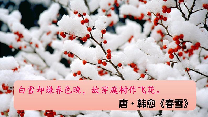 部编版语文九年级上册 1《沁园春·雪》PPT课件03