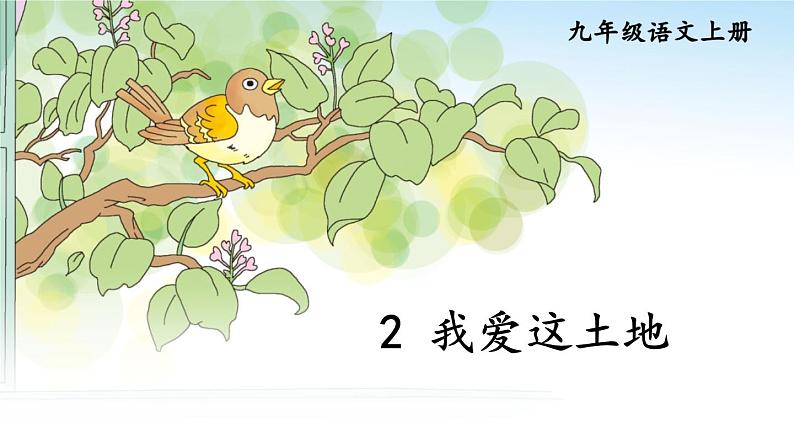 部编版语文九年级上册 3《我爱这土地》PPT课件06