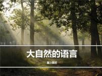 初中语文5 大自然的语言教学ppt课件