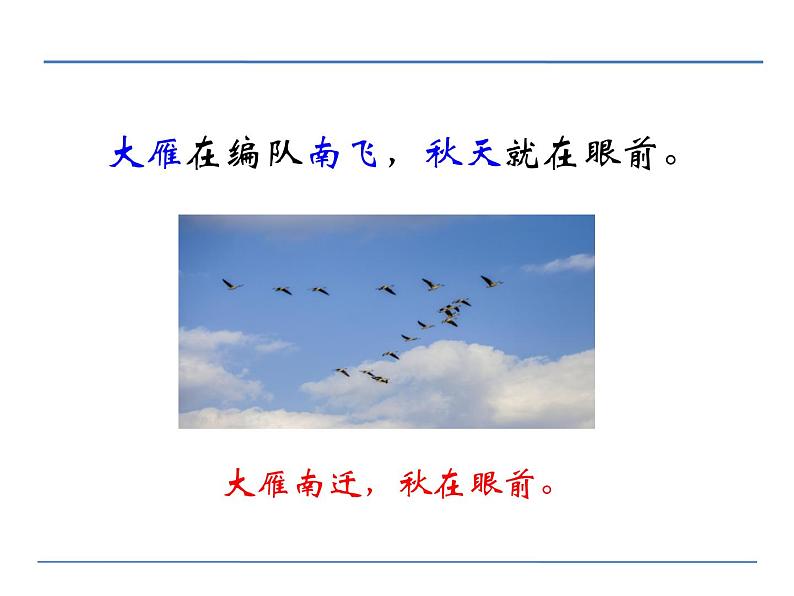 部编版八年级语文下册《大自然的语言》PPT课文课件 (4)05