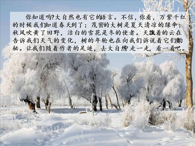 部编版八年级语文下册《大自然的语言》PPT课文课件 (5)02