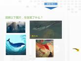 部编版八年级语文下册《北冥有鱼》PPT教学课件 (5)