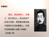 部编版八年级语文下册《社戏》PPT优秀课件(3课时) (1)