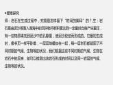 部编版八年级语文下册《时间的脚印》PPT优秀课件 (4)