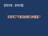 部编版八年级语文下册《马说》PPT教学课件( (15)
