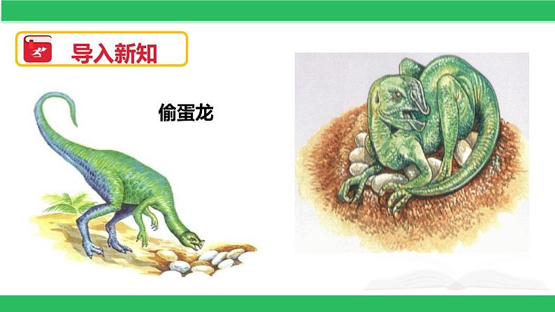 部编版八年级语文下册《恐龙无处不在》PPT课件 (4)03