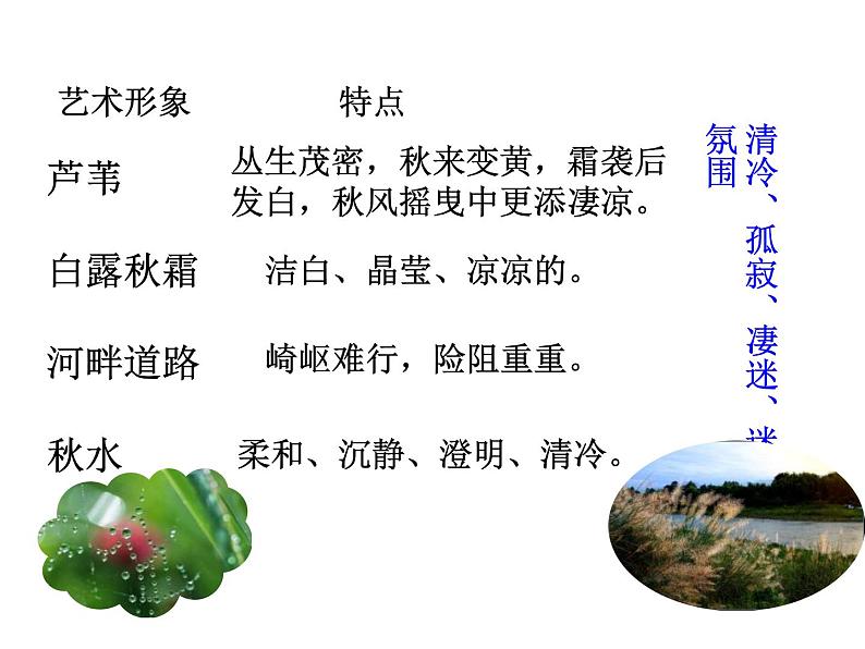 部编版八年级语文下册《蒹葭》PPT教学课件(第2课时) (5)第3页