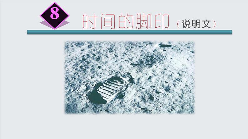 部编版八年级语文下册《时间的脚印》PPT课件 (1)01