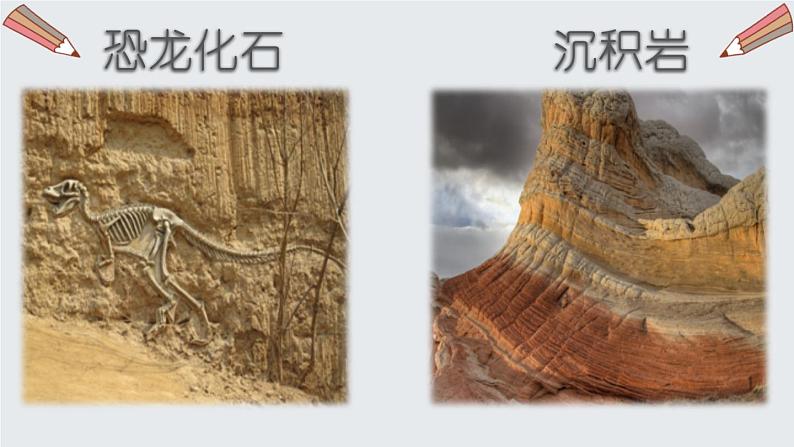 部编版八年级语文下册《时间的脚印》PPT课件 (1)05