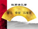 部编版版八年级语文下册《石壕吏》PPT课件 (2)