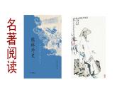专题11《儒林外史》讽刺作品的阅读初中语文必读名著之方法指导及专题探究课件（部编版）