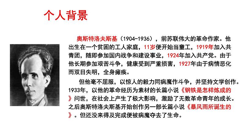 专题08《钢铁是怎样炼成的》摘抄和做笔记初中语文必读名著之方法指导及专题探究课件（部编版）05