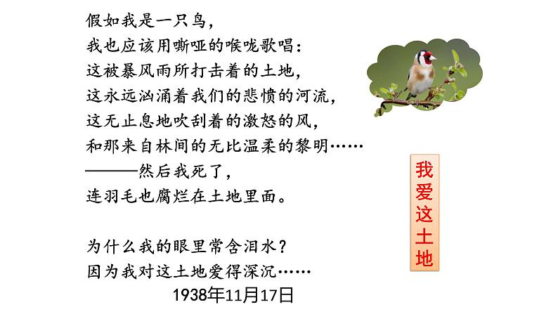 专题09《艾青诗选》如何读诗初中语文必读名著之方法指导及专题探究课件（部编版）04