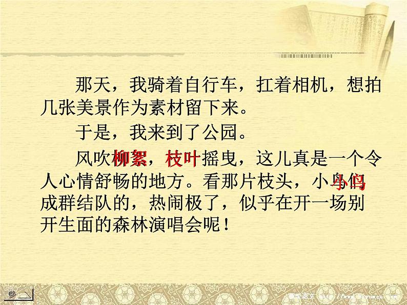 中考作文之一枝一叶总关情第4页