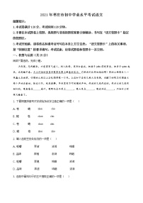 山东省枣庄市2021年中考语文真题（解析版）